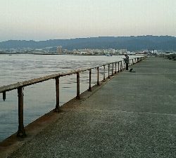 久々にホームへ。渋い状況ながら1匹ゲット！